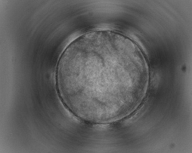 X0000094220810200711241720