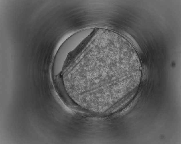 X0000094220812200711241720