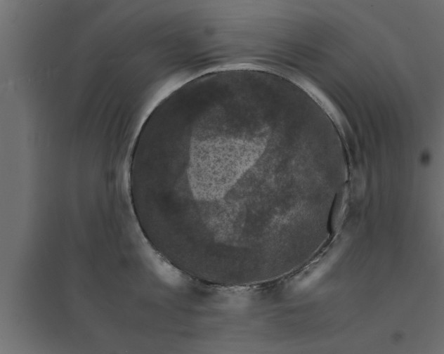 X0000094220813200711241720