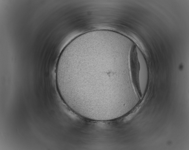 X0000094220814200711241720