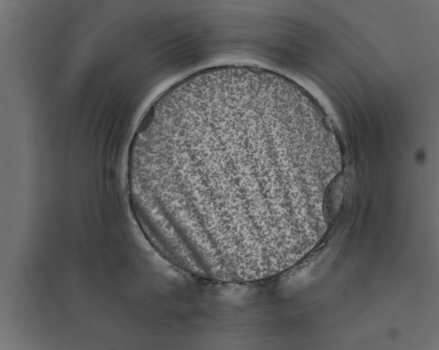 X0000094220815200711241720