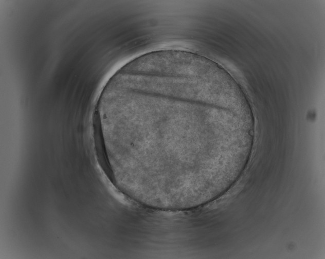 X0000094220816200711241720