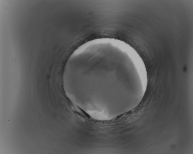 X0000094220817200711241719