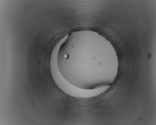 X0000094220818200711241719