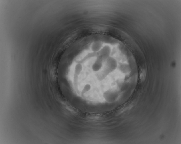 X0000094220819200711241719