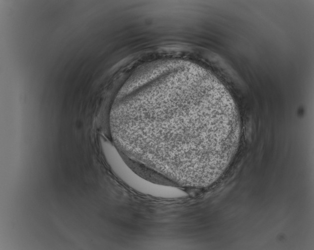 X0000094220821200711241719