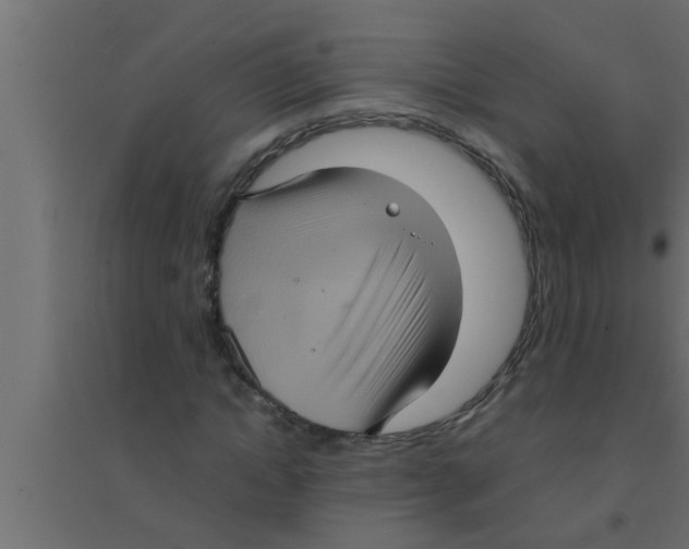 X0000094220822200711241719