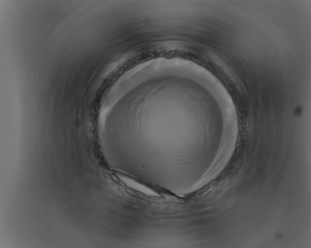 X0000094220823200711241719