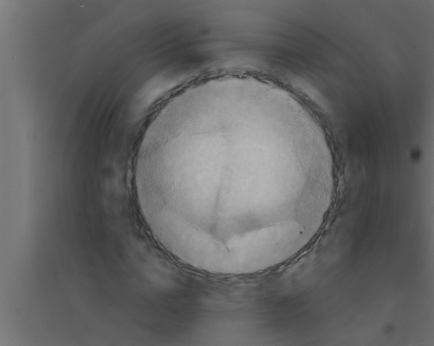 X0000094220824200711241719