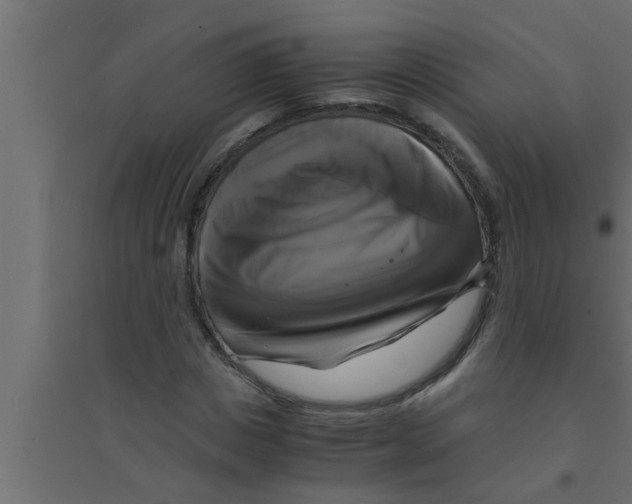 X0000094220825200711241719