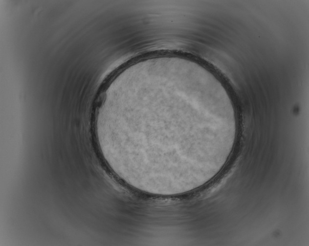 X0000094220826200711241719