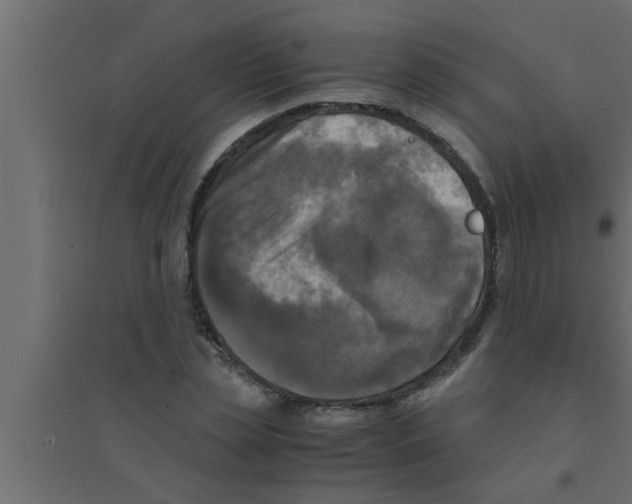 X0000094220829200711241719