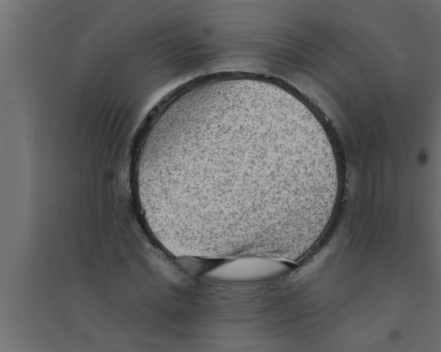 X0000094220830200711241719