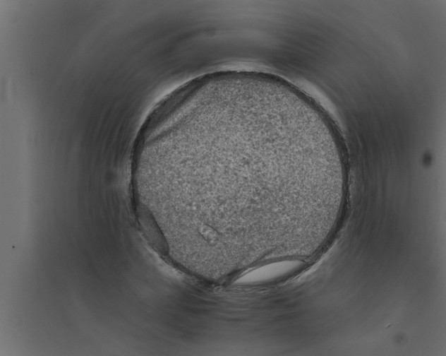 X0000094220831200711241719