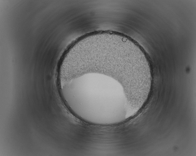 X0000094220832200711241719