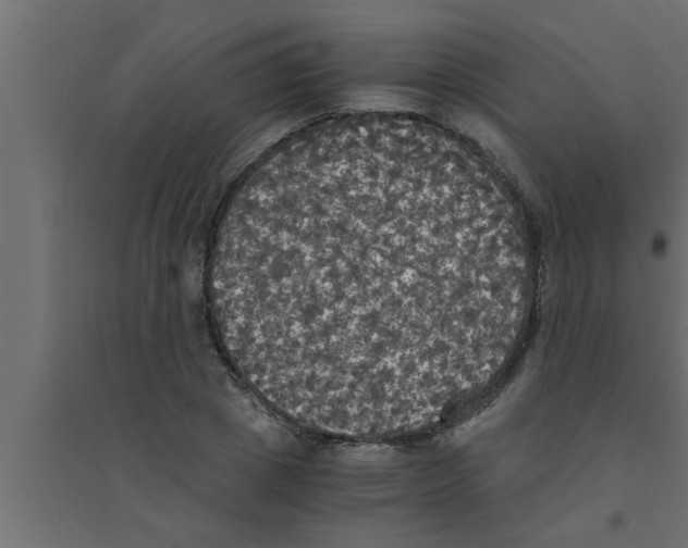 X0000094220833200711241719