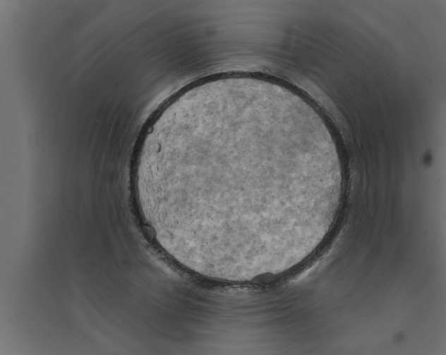 X0000094220834200711241719