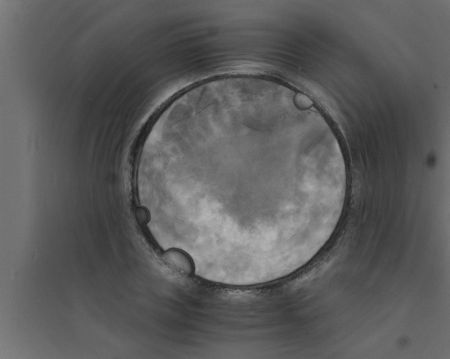 X0000094220835200711241719