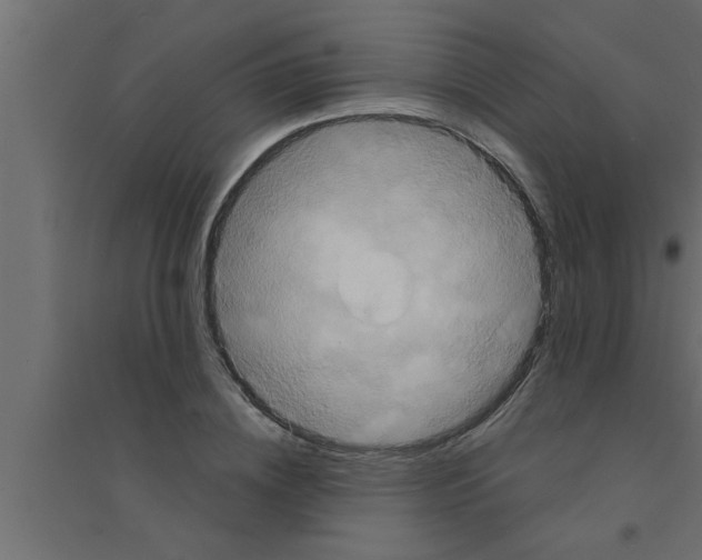 X0000094220836200711241719