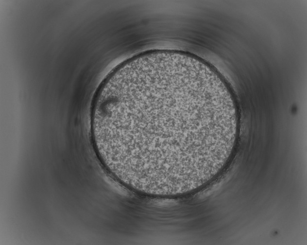 X0000094220837200711241719