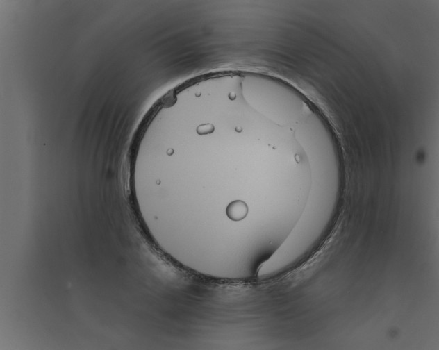 X0000094220838200711241719