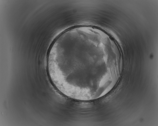 X0000094220839200711241719