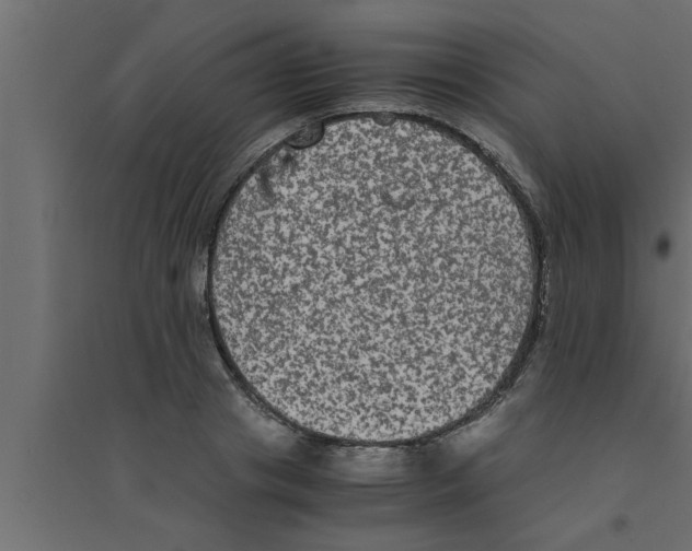 X0000094220841200711241720