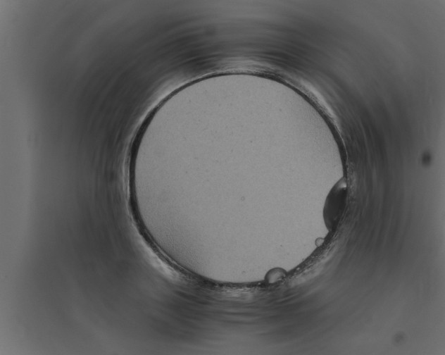 X0000094220843200711241720