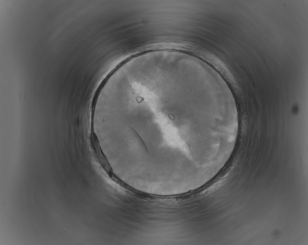 X0000094220844200711241720