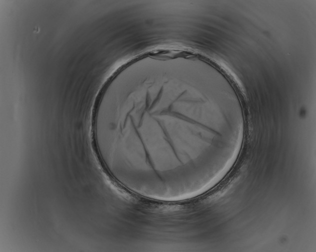 X0000094220845200711241720