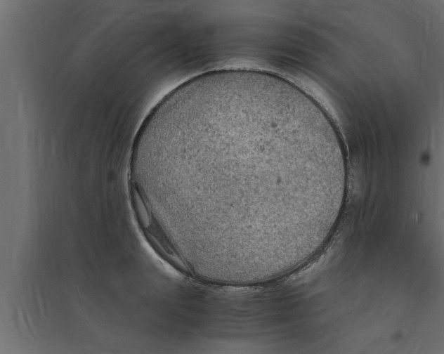 X0000094220847200711241720