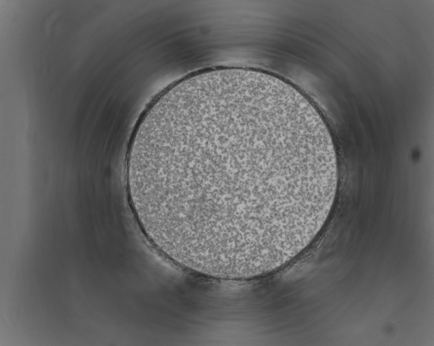 X0000094220848200711241720