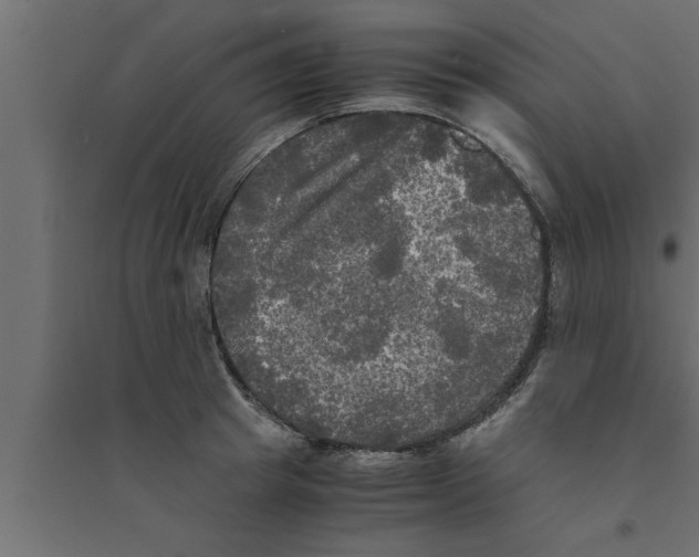 X0000094220849200711241720