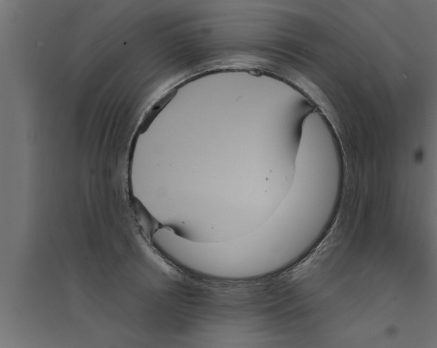 X0000094220850200711241720