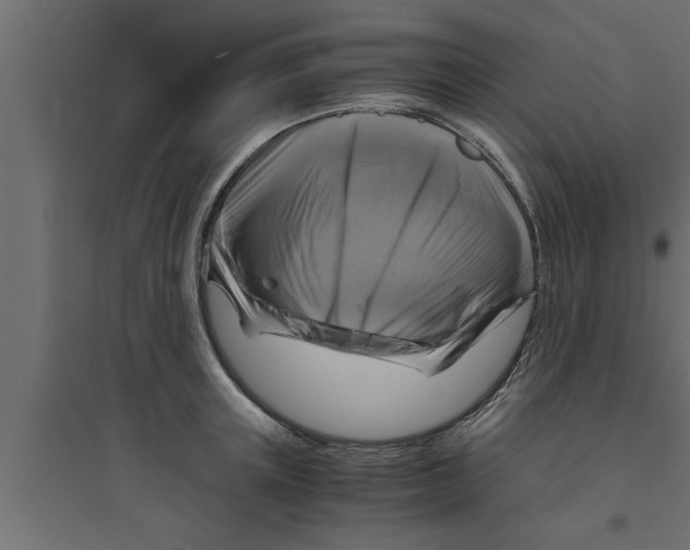 X0000094220851200711241720