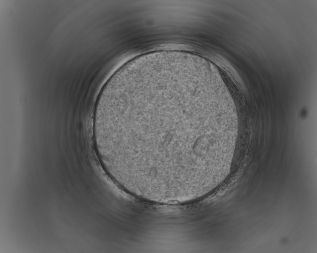 X0000094220852200711241720