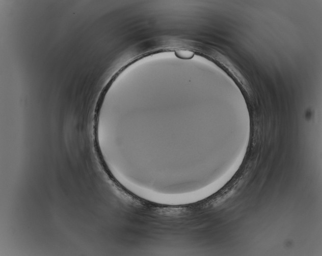 X0000094220853200711241720