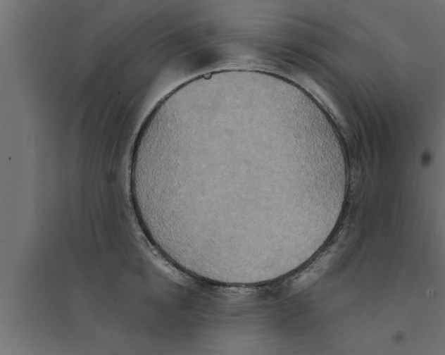 X0000094220854200711241720