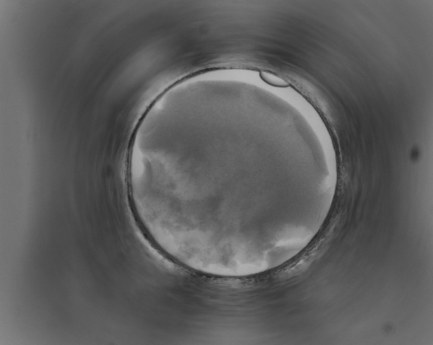 X0000094220855200711241720