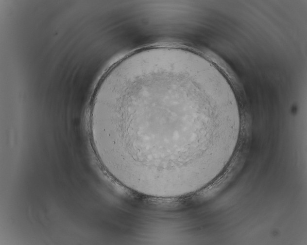 X0000094220856200711241720