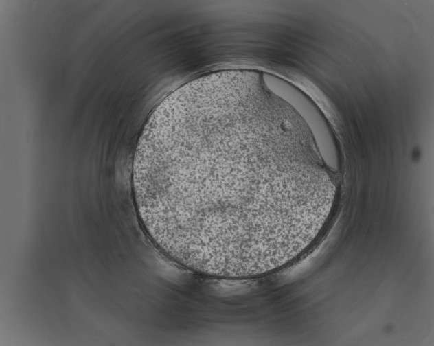 X0000094220857200711241720