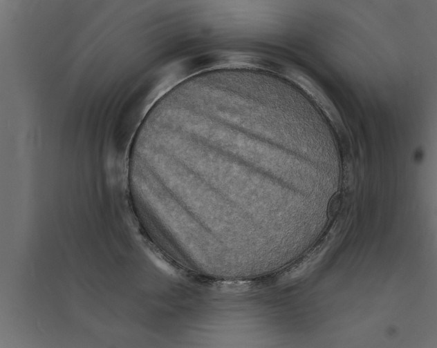 X0000094220858200711241720