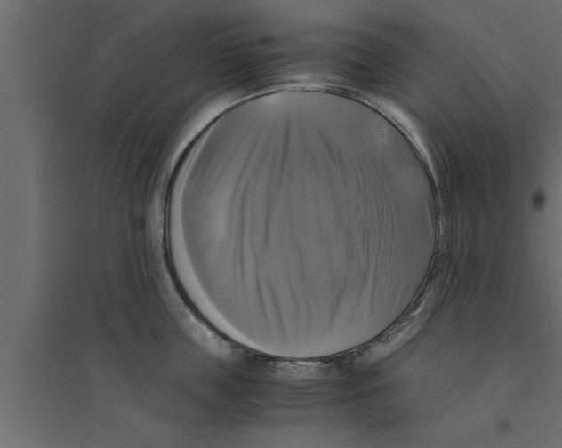 X0000094220859200711241720