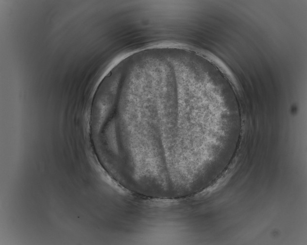 X0000094220860200711241720