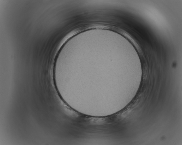 X0000094220861200711241720