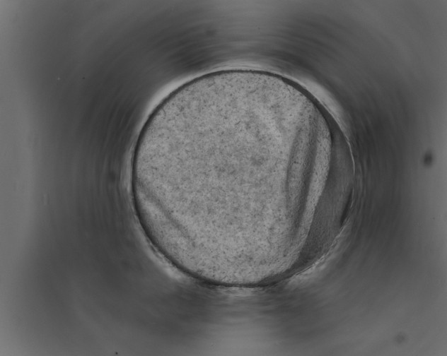 X0000094220862200711241720