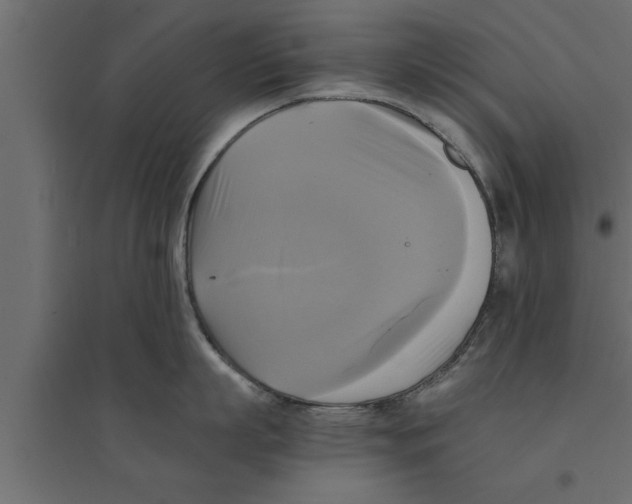 X0000094220863200711241720