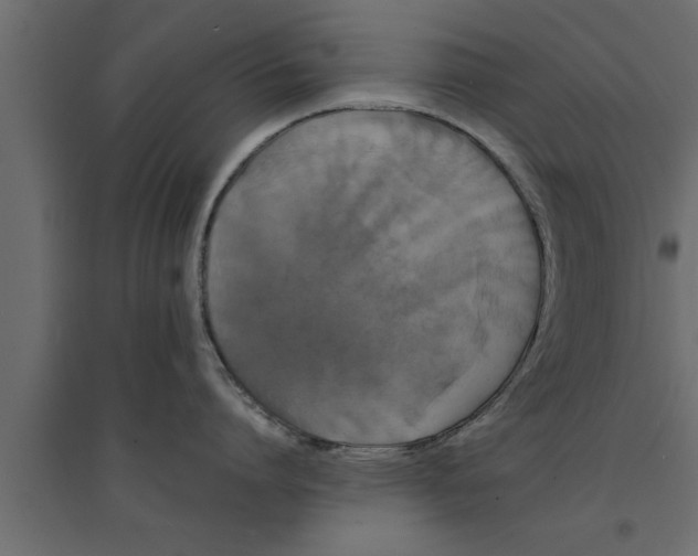 X0000094220864200711241720