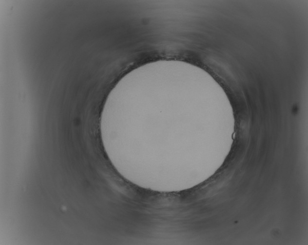 X0000094220865200711241719