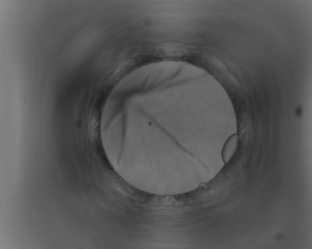 X0000094220866200711241719